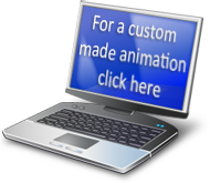 custom animation creation